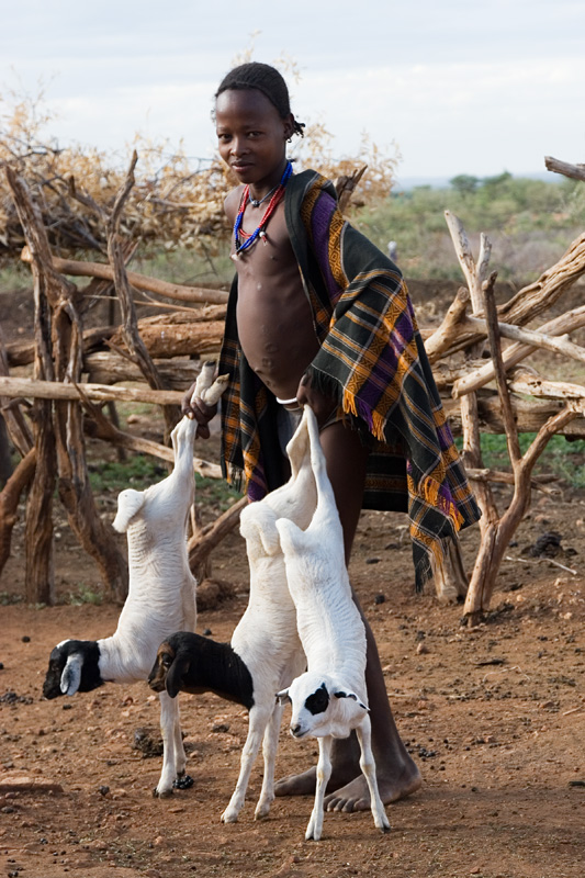 182   Hamar boy bringing the young goats outsite the enclosure